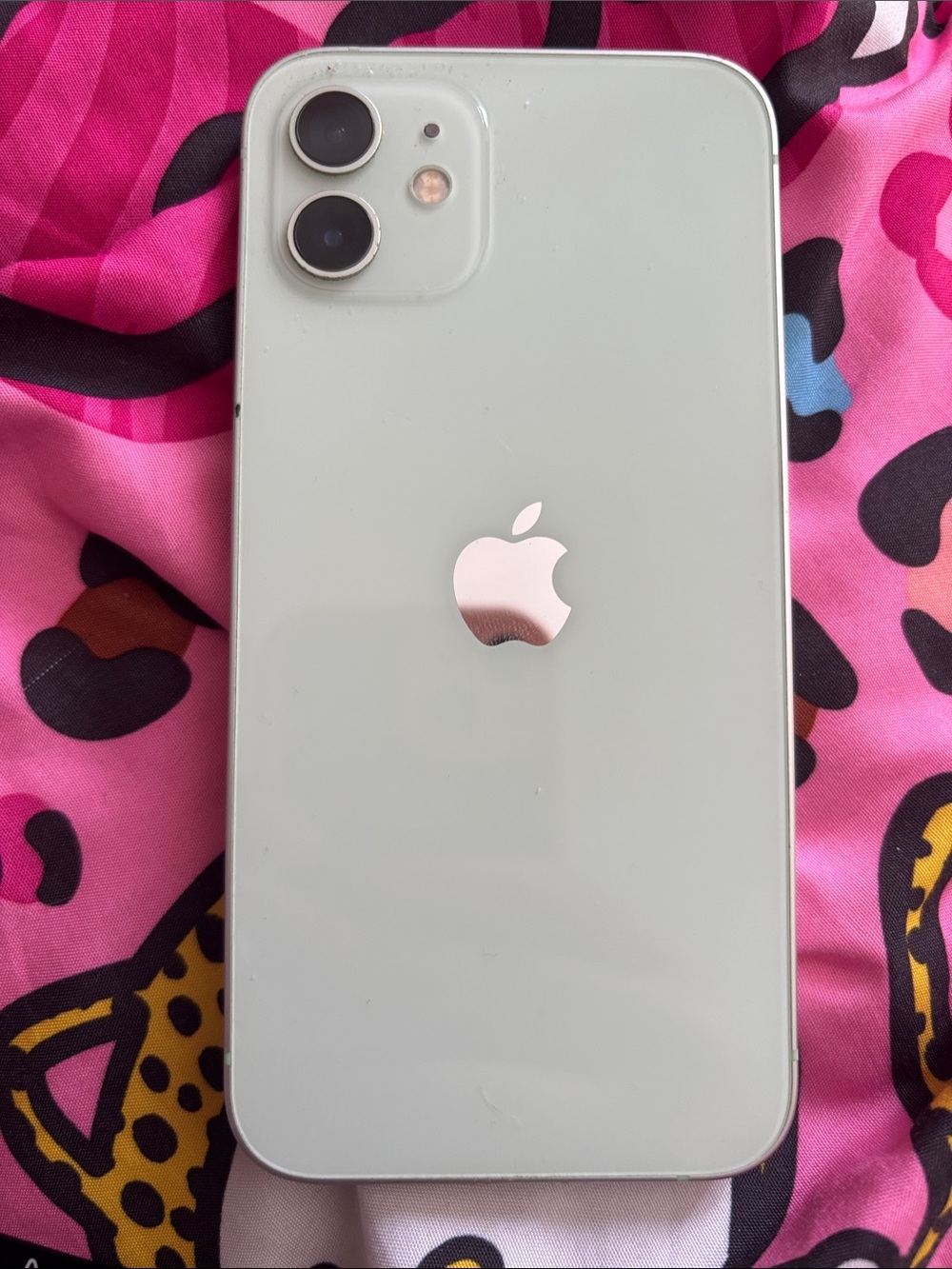 Apple iPhone 12 in mint green with Silver Apple Logo